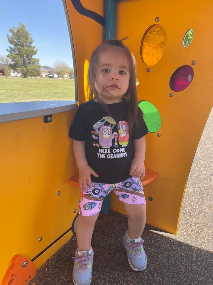 Biker Shorts (pick your fabric)